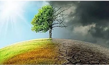 গোটা বিশ্বে রেকর্ড ভাঙলো জুনের গড় তাপমাত্রা: ইইউ