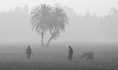 হাঁড় কাঁপানো শীতে বাংলাদেশে  দুইজনের মৃত্যু !