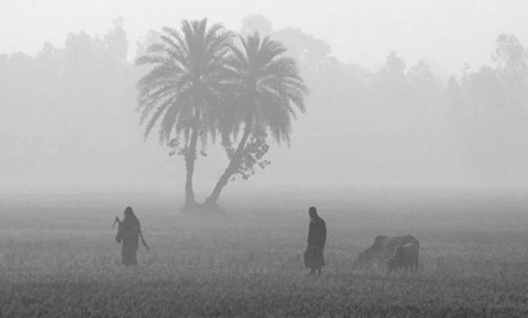 হাঁড় কাঁপানো শীতে বাংলাদেশে  দুইজনের মৃত্যু !