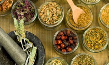 প্রথাগত চিকিৎসার কার্যকারিতা যাচাইয়ে ডব্লিউএইচও