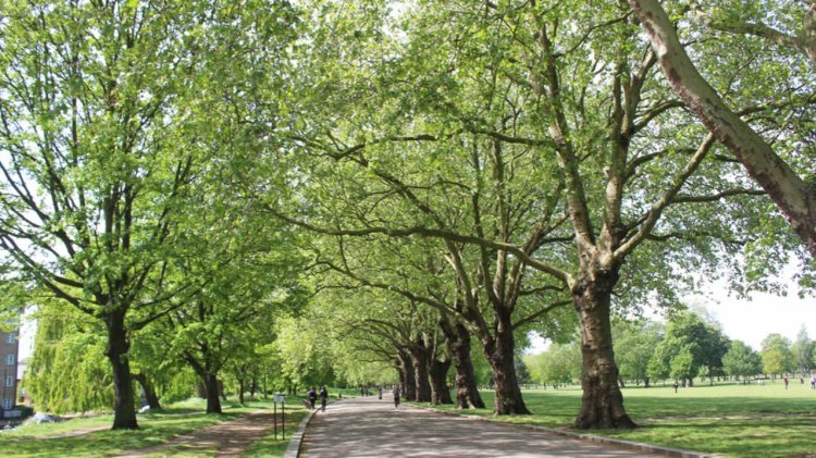 ভোটে যুক্তরাজ্যের সেরা দশ সবুজ স্থানের একটি টাওয়ার হ্যামলেটসের ভিক্টোরিয়া পার্ক