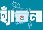 ত্রয়োদশ সংসদ নির্বাচনে হ্যাঁ বা না ভোট: কিসে ভোট দিলে কি হবে ?