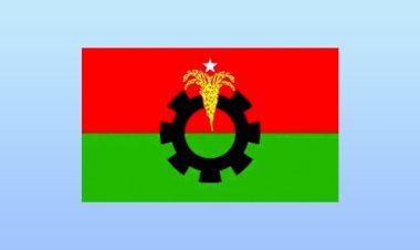"ধানের শীষের প্রতিশ্রুতি: যুবক, কৃষক ও নাগরিকদের জন্য বিএনপির ৩১ দফা ইশতেহার"