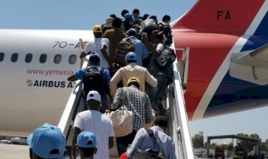 UK Deports 50,000 Irregular Migrants in 18 Months as Crackdown Intensifies