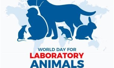 ২৪ এপ্রিল: ওয়ার্ল্ড ল্যাবরোটরি অ্যানিম্যালস ডে