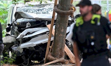 বার্লিন প্রাইডে হামলা: গাড়ি তুলে ও ধারালো অস্ত্র দিয়ে হামলায় নিহত ১, আহত ২৯