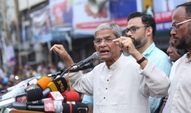 মির্জা ফখরুলের পদত্যাগে বিএনপিতে নেতৃত্ব ও মন্ত্রিসভা পুনর্বিন্যাসের আলোচনা