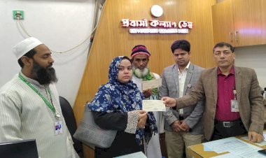 প্রবাসী কার্ডে বিমানভাড়া-চিকিৎসায় ছাড়, ধাপে ধাপে সুবিধা পাবেন প্রবাসীরা