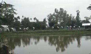 দেশে কী চলছে স্বরাজ? গুদাম ভেঙে সার লুটতরাজ!