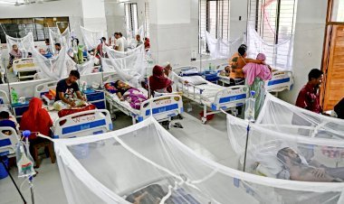 ডেঙ্গুতে পঙ্গু দেশ :  ভর্তি ডেঙ্গু রোগীর সংখ্যা ২৬ হাজার ছড়িয়ে গেছে