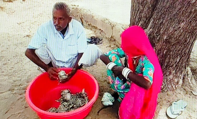 পরিবারের কাছ থেকে লুকিয়ে মাটিতে পুঁতেছিলেন ৫ লাখ রুপি, সব খেল উইপোকায়
