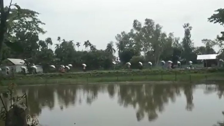 দেশে কী চলছে স্বরাজ? গুদাম ভেঙে সার লুটতরাজ!